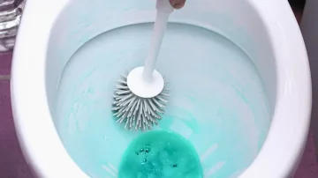 Sa shpesh duhet ta ndërroni furçën e tualetit?